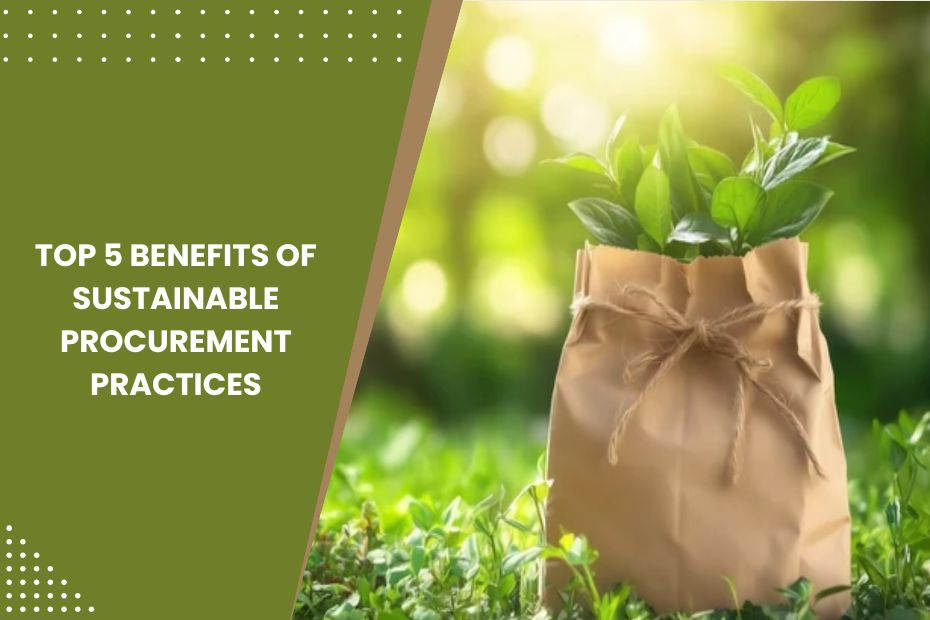Business professional reviewing a sustainable procurement strategy with eco-friendly products.